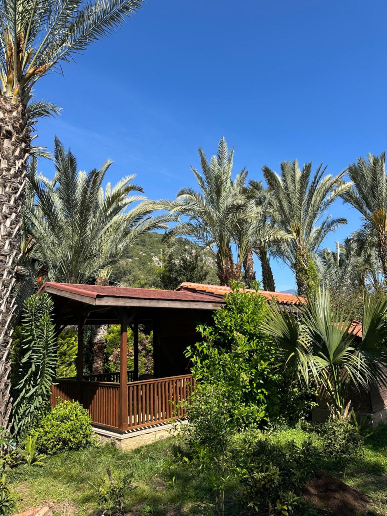 Azur Hotel Çıralı Εξωτερικό φωτογραφία